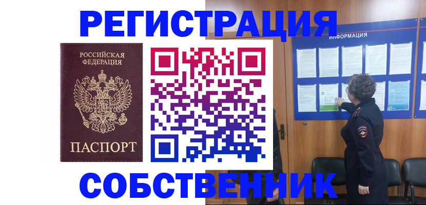 форма 3 в Камчатской области